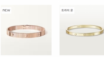 "고민하는 사이 백만원 올랐어요"…연초부터 줄줄이 가격 오르더니 인상 예고도