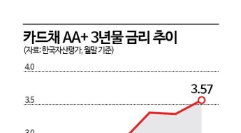 조달비용 부담에…'우량고객·프리미엄' 집중하는 카드업계