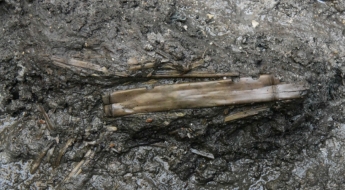 1500년 전 백제 '횡적', 왕궁 화장실서 발견…국악기 '소금' 원형 찾아(종합)