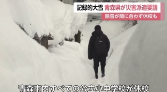 "괜히 갔다가 큰일 날라" 무서워서 여행 포기…폭설에 30명 숨지고 난리난 日