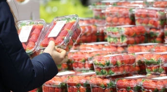 "이게 5만원이라고요?" 마트 갔다가 '깜짝'…겨울 과일값 고공행진