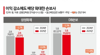 실적 둔화에도 배당 늘린 손보사…확산은 쉽지 않다