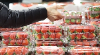 금값 된 '이 과일' 8주 먹었더니…"기억력 개선·허리둘레 감소"