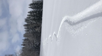 일본까지 가서 웬 민폐…韓 20대, 정규코스 밖에서 보드 타다 조난