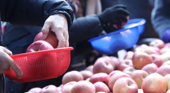 명절 지나도 오르던 소고기·과일 가격, 올해는 잡힐까?