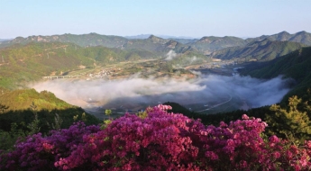 '1인당 80만원' 지원금 푼다…소득·자산 관계 없이 지급한다는 '이곳'