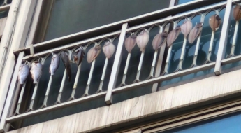 아파트가 건어물 가게? 베란다 난간에 생선 '주렁주렁'에 이웃들 고통 호소