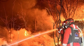 함양 산불 겨우 잡았는데 밀양서도 … 삼랑진읍 산불 밤샘 진화