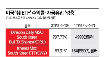 K팝·K뷰티 이어 K증시도 있다…韓 담은 미국 ETF 수익률 300%