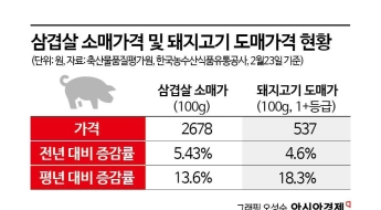 880원 삼겹살 떴다…삼삼데이 앞둔 유통가 '100원 전쟁' 서막