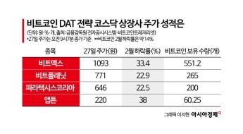 하락장에도 저가매수하는 코인비축株, 투자 안전할까[비트코인 지금]