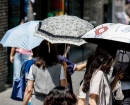 손선풍기도 선글라스도 아니다…체감온도 10도 뚝, 생존 필수품된 '이것'