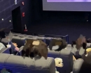 영화 보러갔다가 앞좌석 강아지 보고 화들짝…"어떻게 들어왔지?"