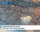 아이들이 쓰다듬던 '병아리'를 보는데서 '뱀 먹이'로…"내가 이걸 보려고 왔나"