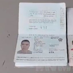 美 가려던 수상한 중국인…'세계2위 파워' 한국 여권 내밀었다