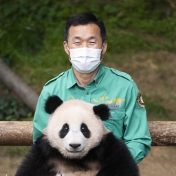 [뉴스속 인물]'판다 할아버지' 강철원 사육사