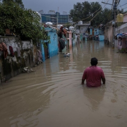 "가격 300% 폭등…도둑 조심하세요" 역대급 폭우에 인도 '몸살'
