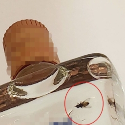 안 딴 고량주 안에서 '파리' 발견…"보상금 1억 요구? 악성민원인 취급"