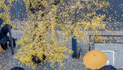 월요일 출근길 수도권·충청권 빗방울…낮 최고 20도 포근