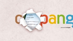 금감원, 쿠팡페이 현장조사 착수…결제체계 점검