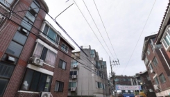 1인 가구 '역대 최대'인데…청년·비혼자 살 집 4년새 72% 급감