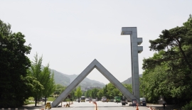 의대 중도탈락 383명…80%는 지방 의대생