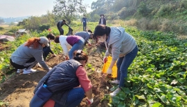 귀농 5년차 가구소득 연 3300만원…"농지·주택 등 정보제공 필요"