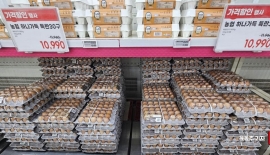 계란 한판 다시 '7000원'…조류 AI에 수급 불안까지