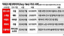 [빅테크에 뺏기는 AI인재⑤]비자 제도 풀고 스타트업 인수…글로벌 쟁탈전
