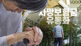 금융위 "2026년 1월2일 전 생보사 사망보험금 유동화상품 출시"