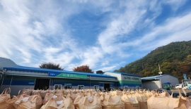 올해부터 '수급조절용 벼' 시행…"쌀 부족시 밥쌀용으로 공급"