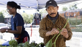 "Americans Know Ketchup But Not Tomatoes"... In Japan, It's Not Eggs But "Sashimi and Sushi Arrive" [Food Desert] ⑤