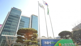 [단독]강태영 농협은행장 첫 조직개편 단행…생산적 금융·AX 강화 등