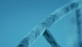 외국인이 사들인 코오롱티슈진, 다시 쓰는 신고가  