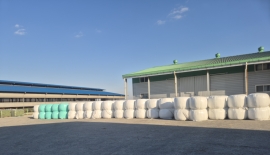 [농업 바꾼 FTA]②고품질 韓 조사료 키워 사료비·수입의존도↓ 