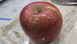 멀쩡한 사과 보더니 "이건 썩은 거예요" 장담…진짜 잘라보니 '휘둥그레' 비결은?[농업 바꾼 FTA]③