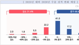 中企 68% "내년 수출 증가 전망"…화장품·의료·바이오 가장 긍정적