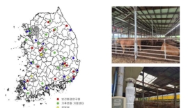 질병청, 감염병 매개모기 감시 돌입…기후변화 대응 강화