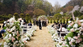 “스드메 가격 미리 확인하세요”…정부, 결혼서비스 피해예방주의보 발령