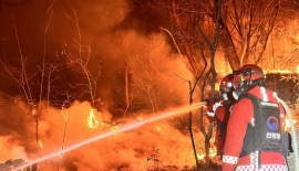 "사소한 실수도 책임"…산림청, 산불 유발에 '무관용' 선언