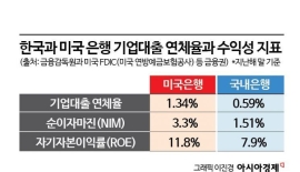 [돈의 물길을 바꿔라]⑤연체율 2배지만 수익성도 2배…리스크 감수한 美 은행의 ‘고수익 비결’