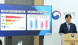부동산 시장교란 '현금부자·부모찬스' 겨눈 국세청…"탈세혐의자 127명 집중조사"