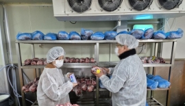 추석 대목 노린 '원산지 둔갑' 집중 단속…전통시장선 표시 홍보 캠페인