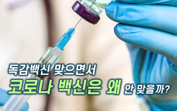 코로나도 연 1회 주사 "독감백신 맞아도코로나 백신은 안 맞는다"