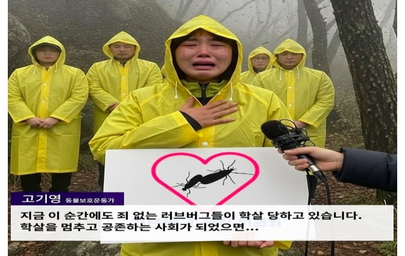 "죄 없는 러브버그 학살 멈춰" 환경운동가 읍소…진짜인줄 알았더니