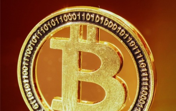 美 하버드도 비트코인에…1600억 규모 ETF 투자