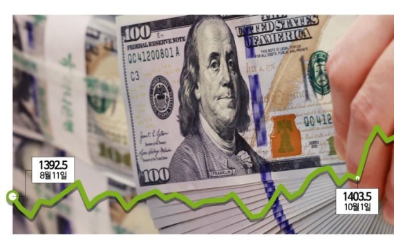 Won-Dollar Rate Surges 6% as Dollar Index Rises 3%... Market Instability Grows