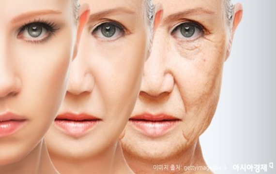 "유독 안 늙는 저사람, 비결이 뭐야"…다국어 사용이 노화 늦춘다