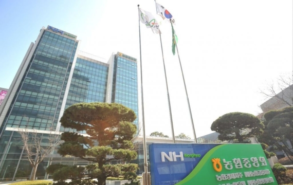 [단독]강태영 농협은행장 첫 조직개편 단행…생산적 금융·AX 강화 등