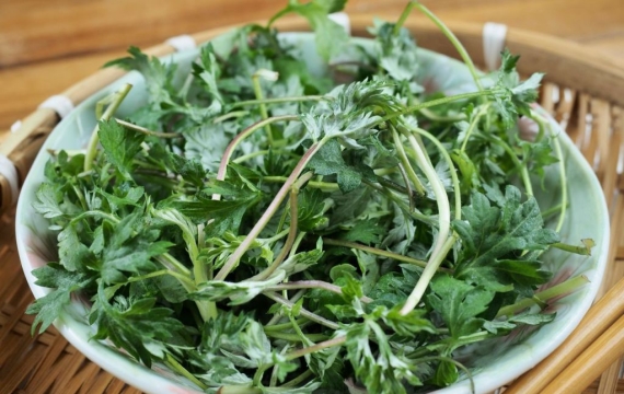 한국에선 아무데서나 '쑥쑥' 자라는 흔한 풀인데…중국·일본에선 '귀한 몸'